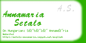 annamaria setalo business card